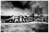 ill-and-scape